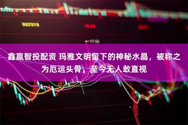 鑫赢智投配资 玛雅文明留下的神秘水晶，被称之为厄运头骨，至今无人敢直视
